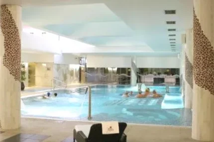 Palace Hotel & Spa - Termas de Sao Vicente